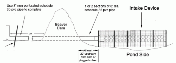 Beaver Pond Leveler diagram