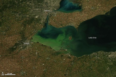 A view of algae-infested Lake Erie. Photo courtesy of NASA Earth Observatory.