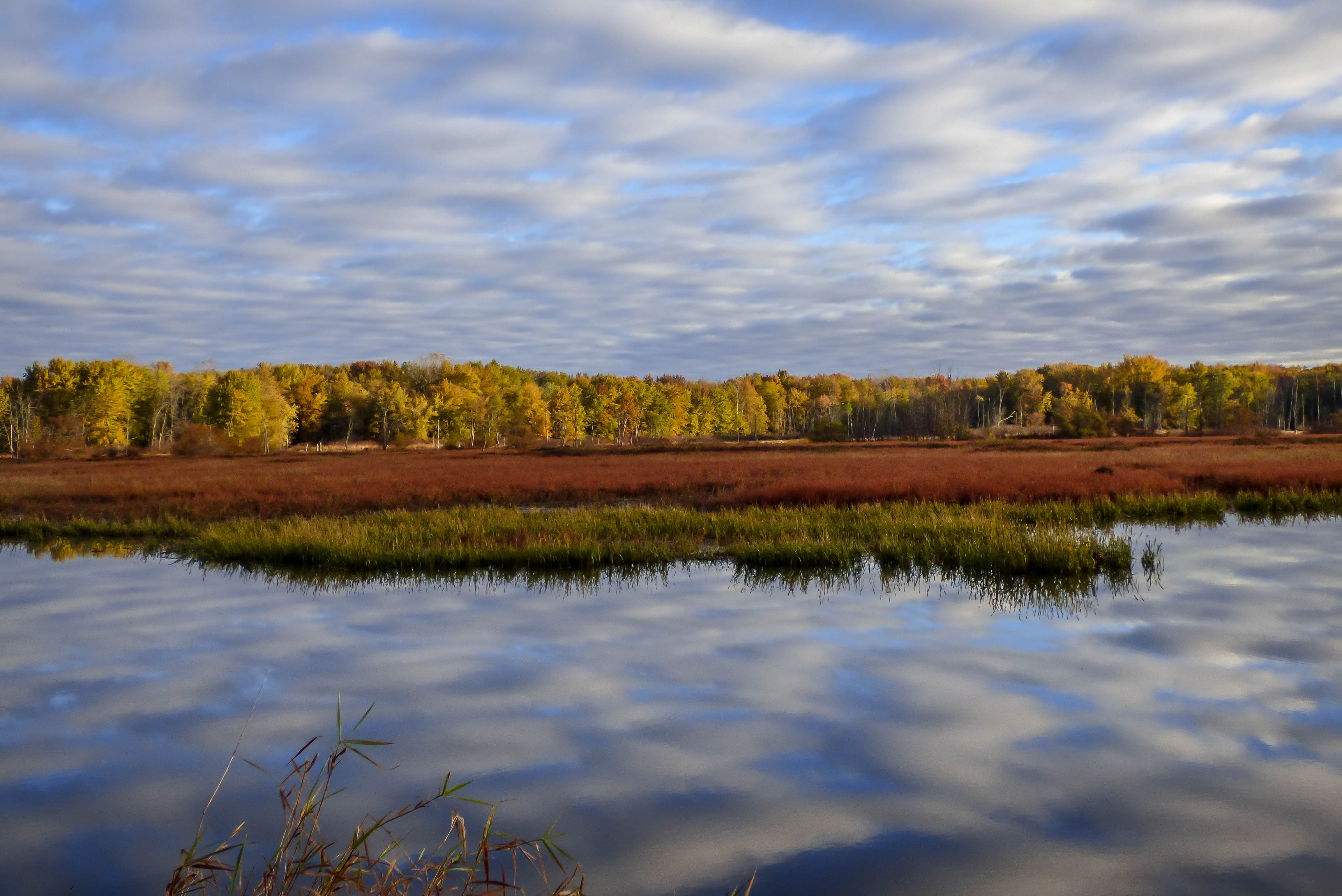 Fall Swamp Sunrise Deb Traxinger - HM Landscape